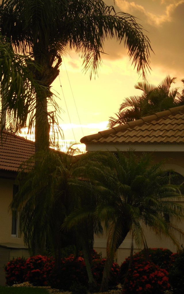 6-29-14 CLC-Painting 088