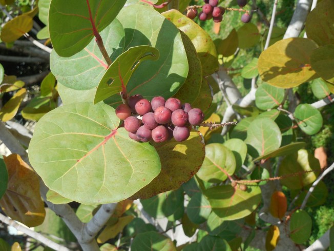 10-23-14 Gilchrist-Laishley 013